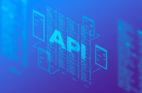 API Penetration Testing (API Sızma Testi)
